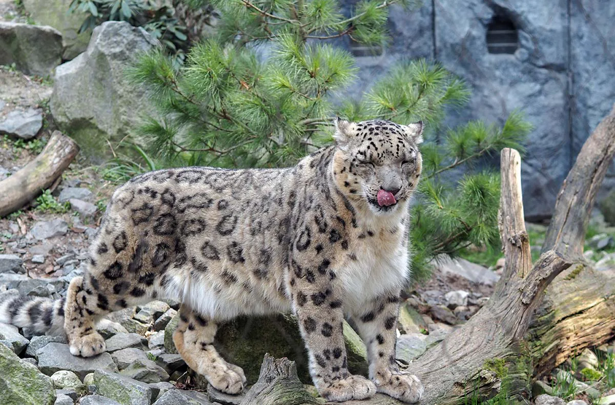 Frühstück & Zoobesuch Leipzig für 2 - 5