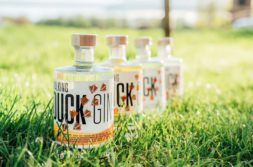 Gin Brennkurs mit 5-Gänge-Menü Bad Kreuznach