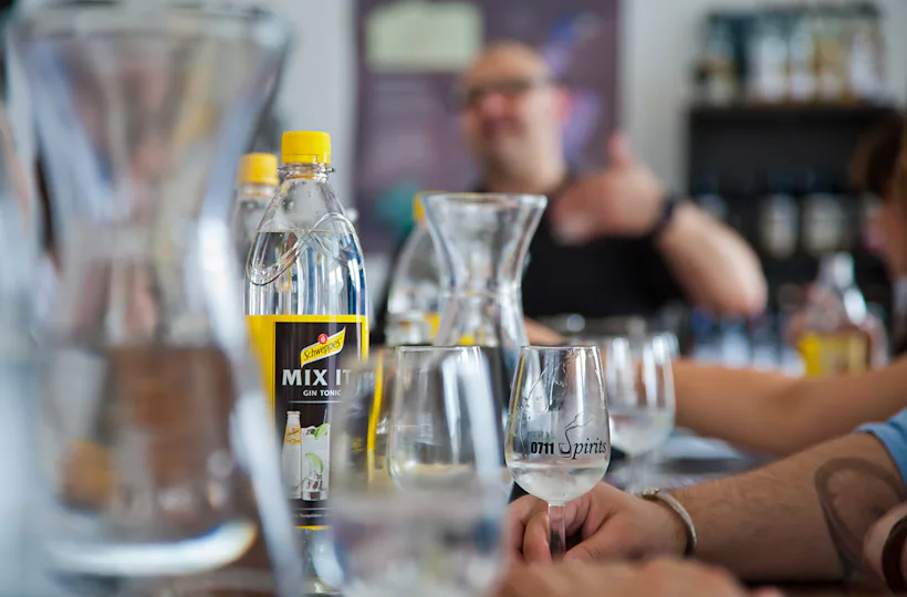 Gin Seminar Hamburg (für Einsteiger)