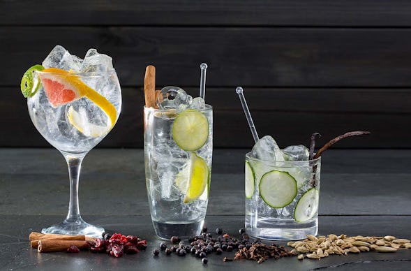 Gin Tasting in der Villa Mumm Eltville