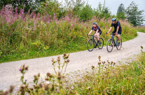 Gravelbike fahren Oberharz
