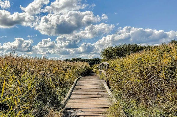 Guided Tour über die Priwallhalbinsel Lübeck