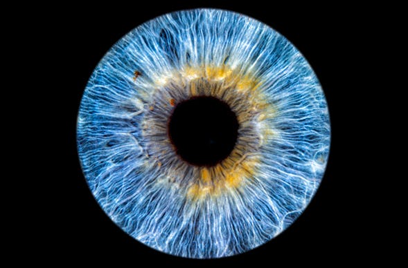 Iris Fotografie Hechingen