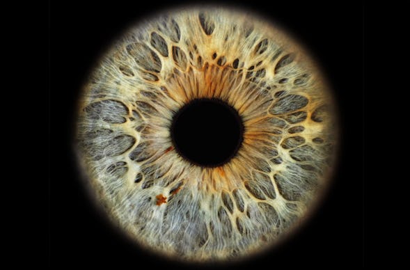 Iris Fotoshooting Aargau