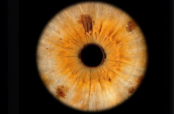 Iris Fotoshooting Chur