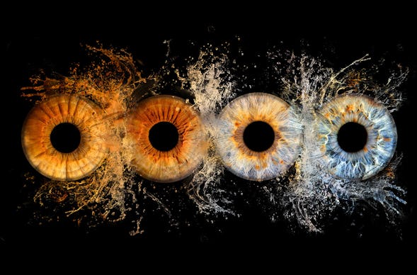 Iris Fotoshooting Ludwigsburg