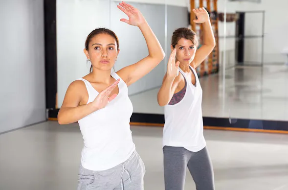 Krav Maga Seminar für Frauen Dresden