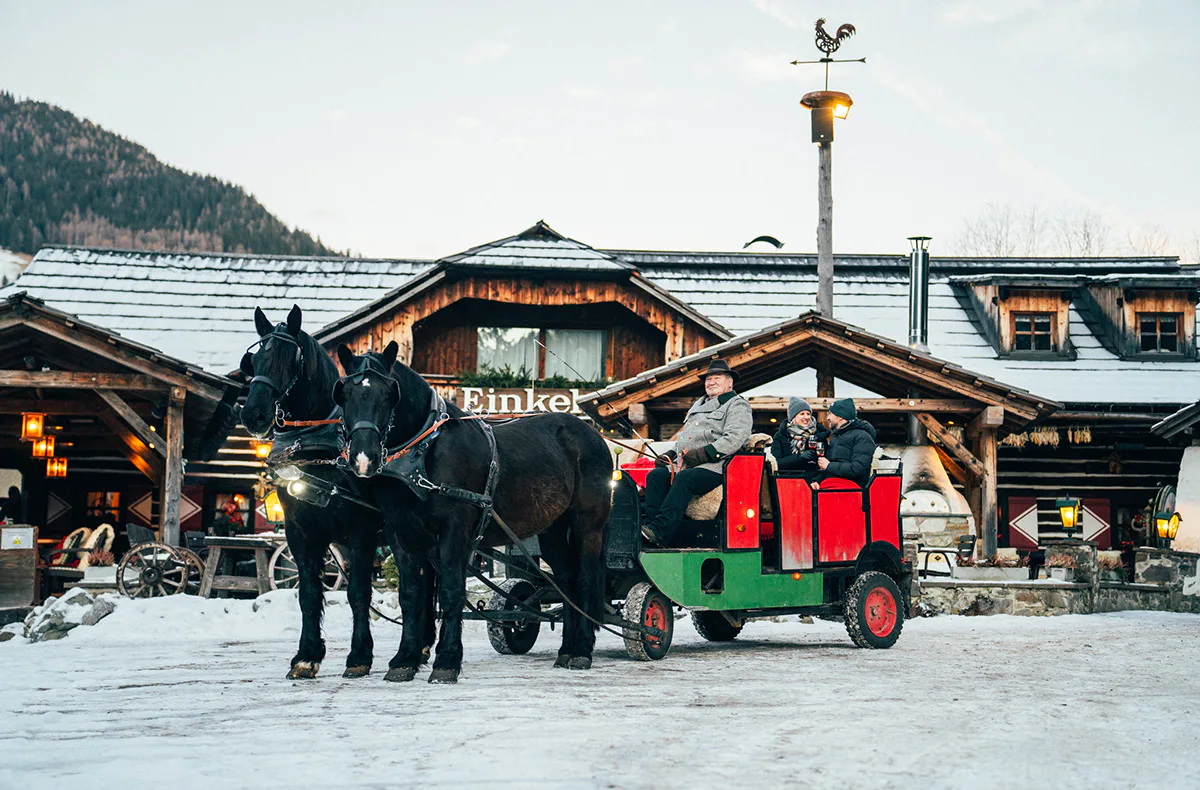 Romantische Pferdekutschenfahrt Bad Kleinkirchheim für 2 - 2