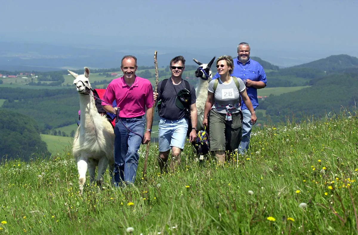 Lama-Trekkingtour Poppenhausen - 3