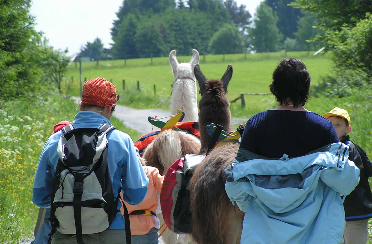 Lama-Trekkingtour Poppenhausen - 5