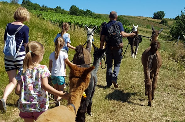 Lama- & Esel-Trekking-Tour Stadecken-Elsheim