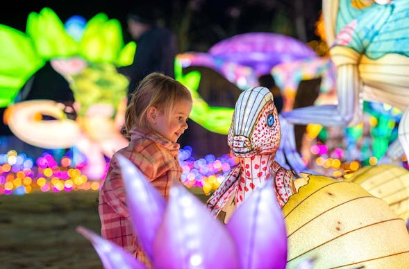 Lichterfestival mit Übernachten im Serengeti-Park für 2 (1 Nacht)