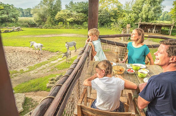 Lunch & Zoo Leipzig für 2