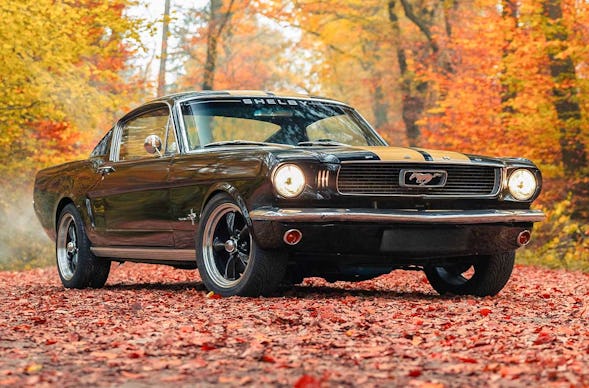 1966er Mustang Fastback fahren Hamburg (8 Std.)