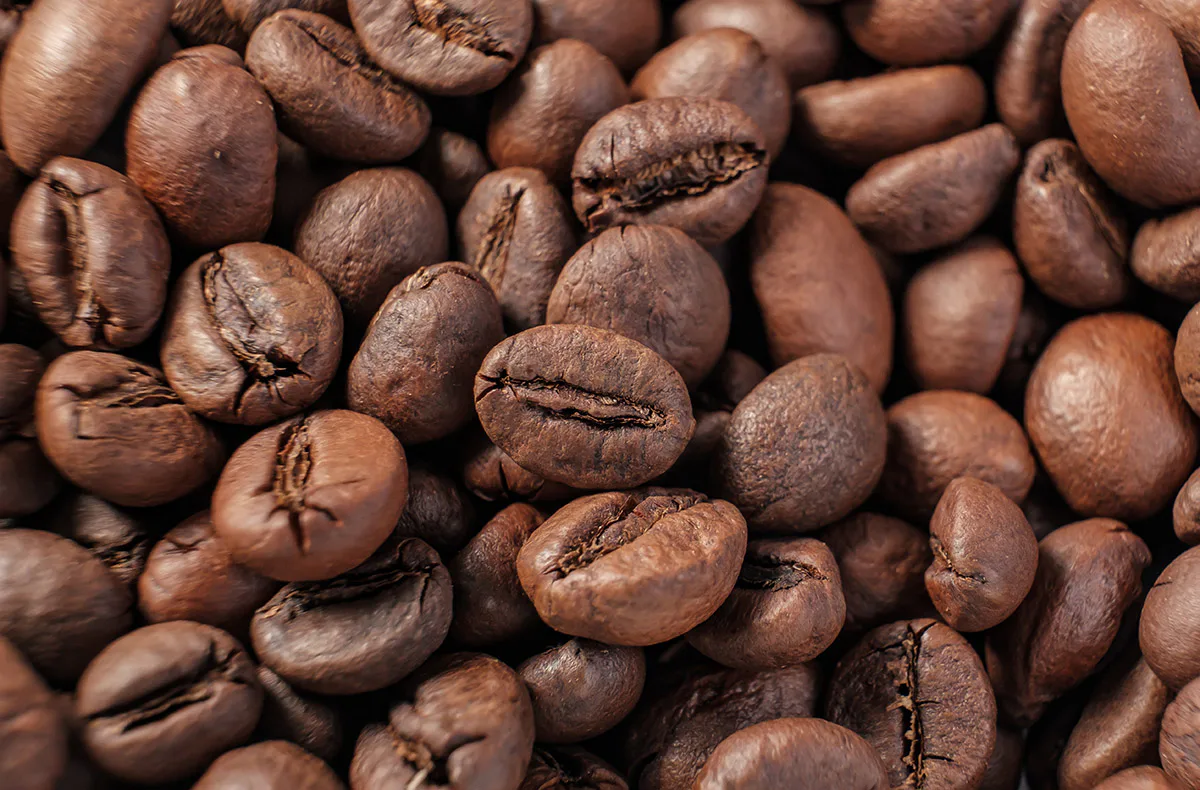 Online Baristakurs mit Nicole Battefeld - 3