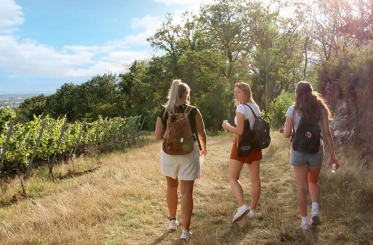 Outdoor Escape Gruppe - Anfänger "In Vino Veritas" Meersburg - 1