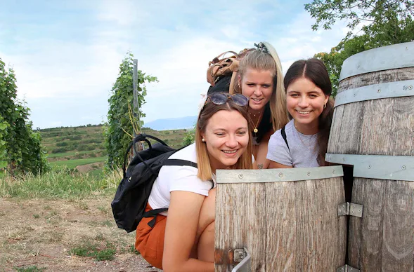Outdoor Escape Gruppe - Anfänger "In Vino Veritas" Zeil a. Main
