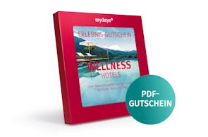 Wellnesshotels PDF