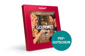 Gourmet-Dinner PDF