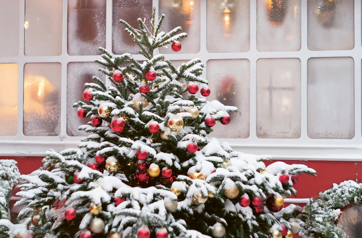 Geschenkbox Merry Christmas als PDF - 4