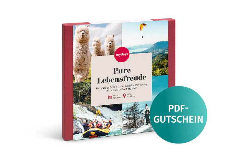 Geschenkbox Pure Lebensfreude als PDF