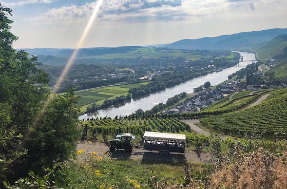 Planwagenfahrt mit Weinprobe Lieser