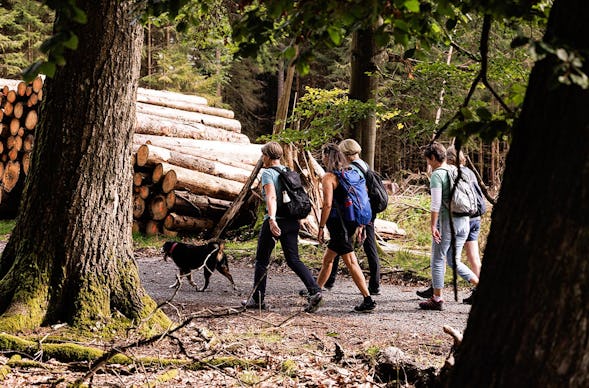 Quizwanderung Überwald Grasellenbach