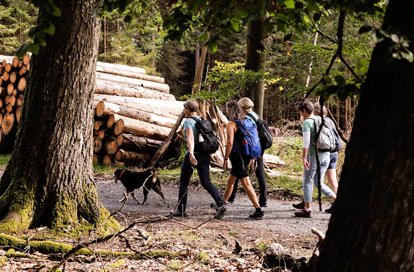 Quizwanderung Überwald Grasellenbach
