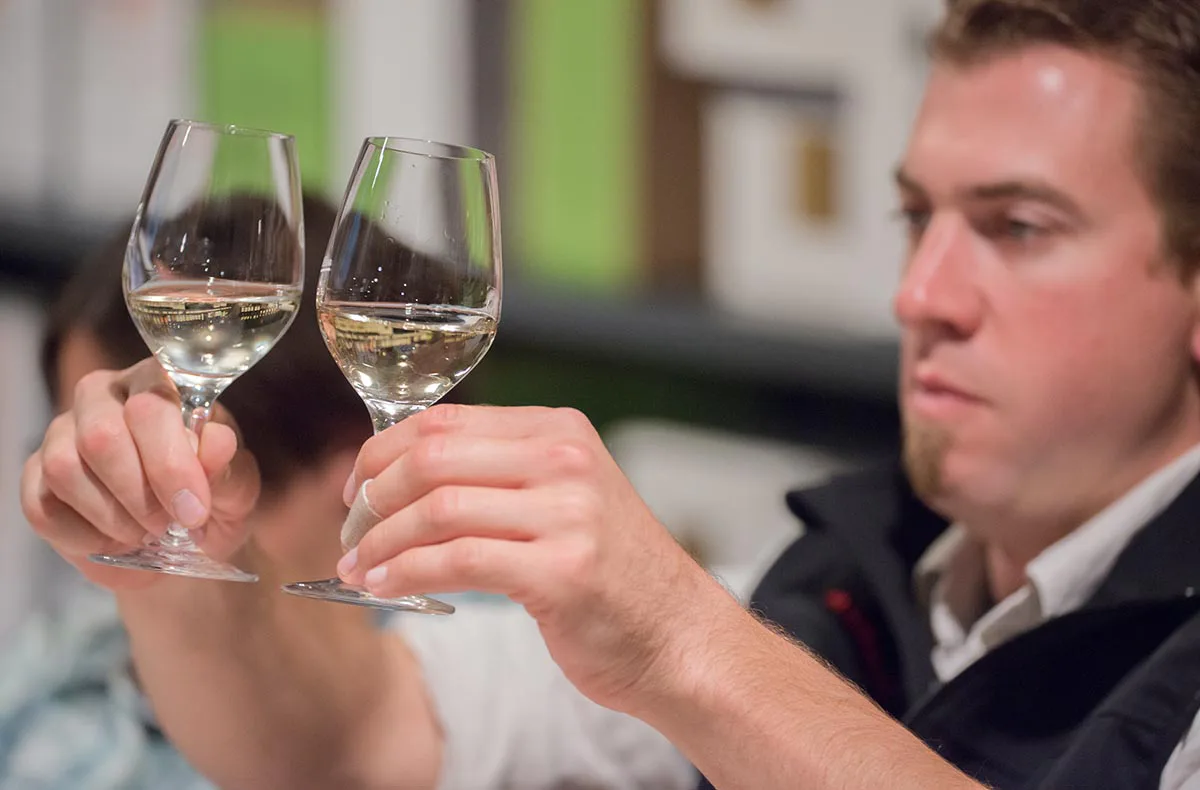 Rebsortenkurs mit Degustation Solothurn - 5