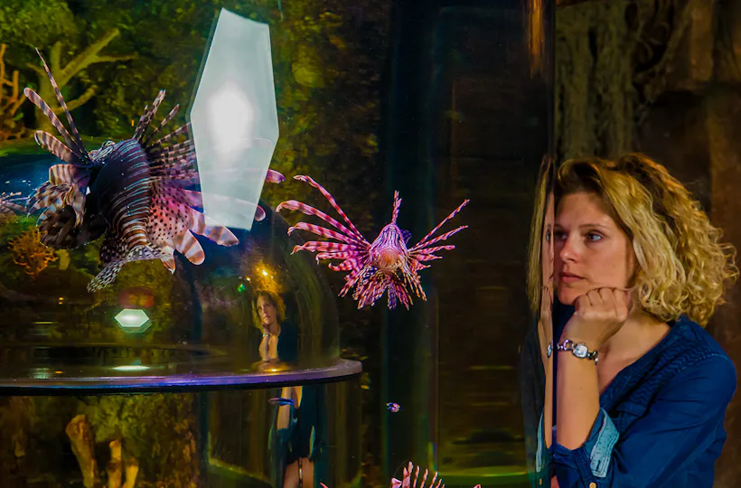 Sea Life München (1 EW + 1 Kleinkind)