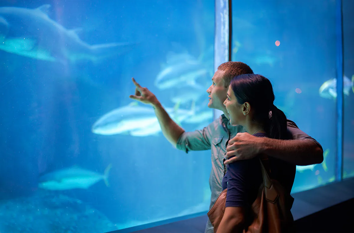 Frühstück & Sea Life München für 2 - 2