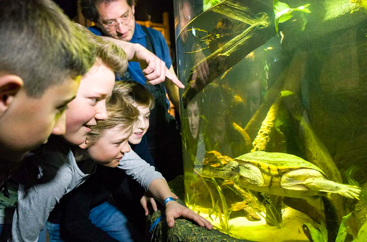 Sea Life München (Kinder-Ticket) - 3