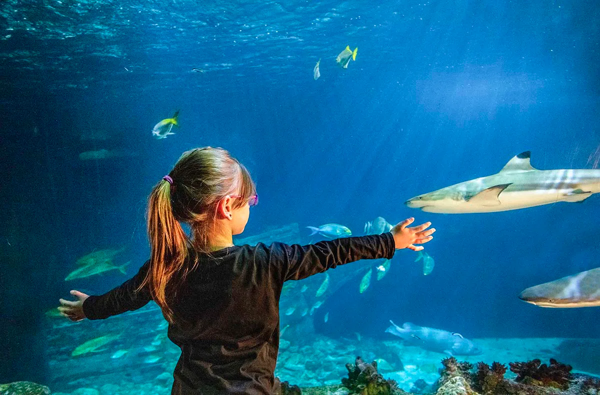 Sea Life München (Kinder-Ticket) - 1
