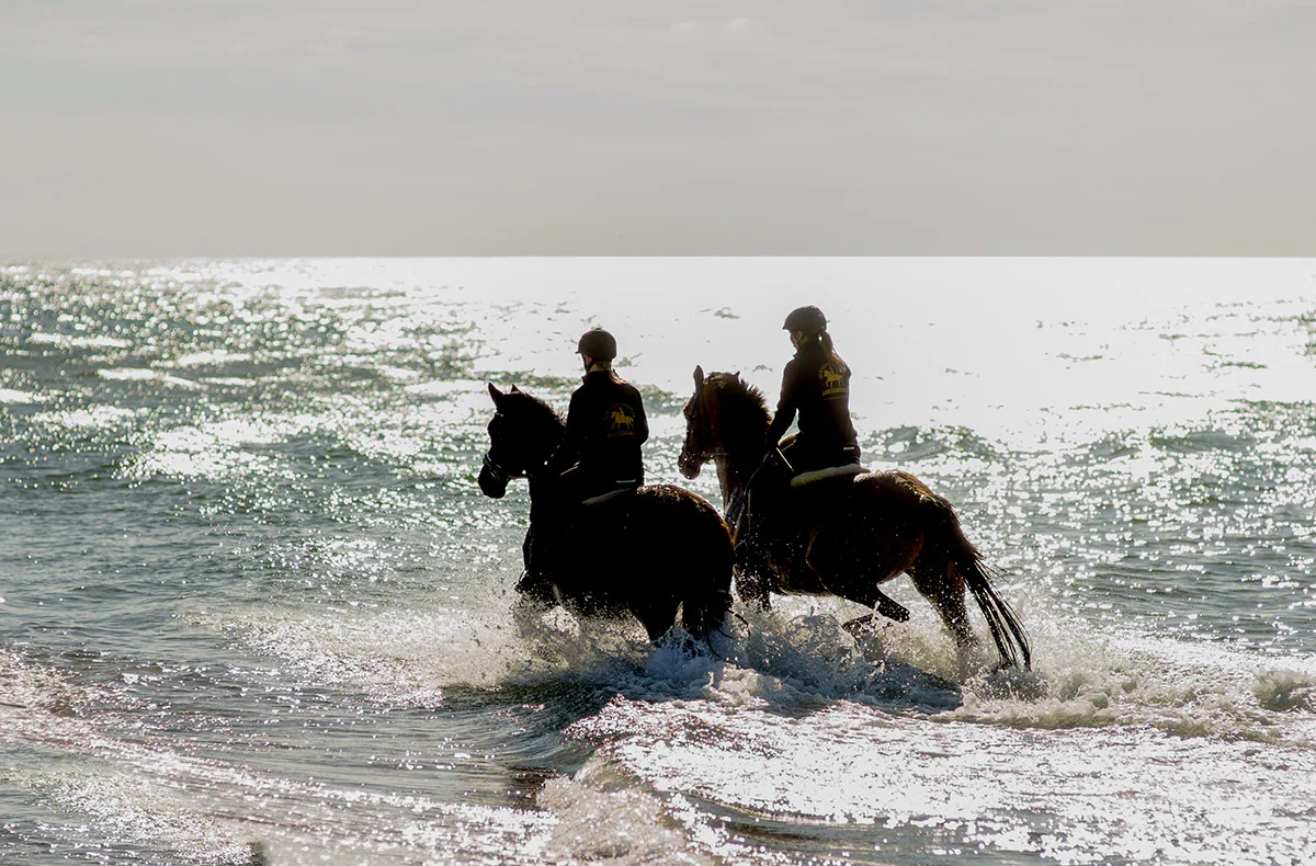 Strandritt Ostsee mit Probestunde Hirschburg (Mai - Sept.) - 1