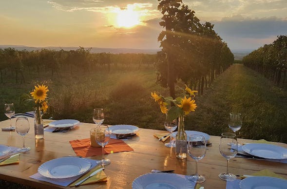 Sunset Wine Tasting Hohenruppersdorf