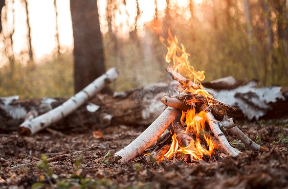 Survival Training Bärschwil
