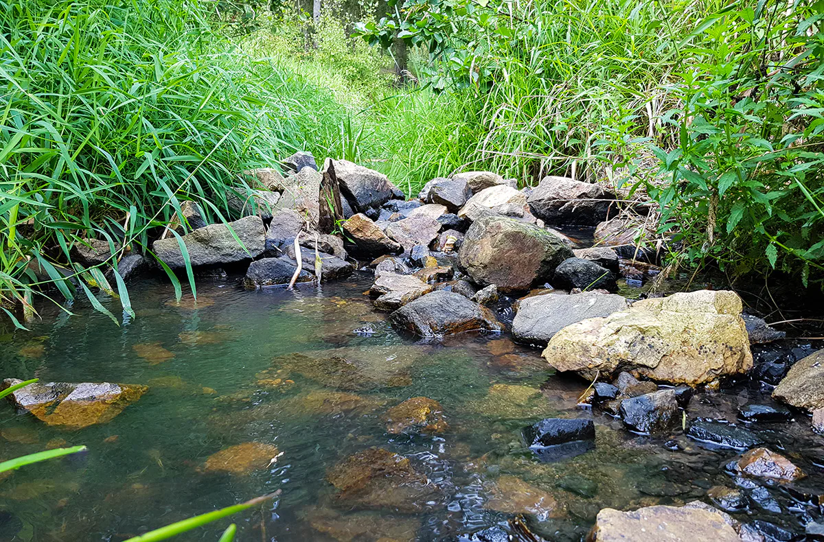 Survival Training Waldkirchen an der Thaya - 7