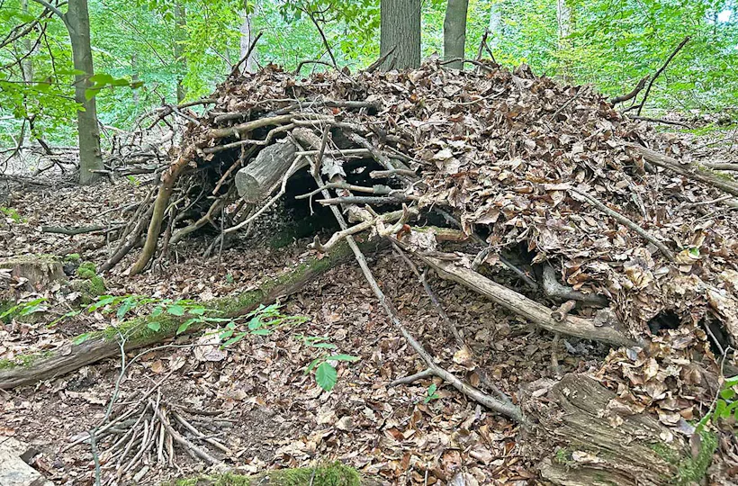 Survivaltraining für Paare Winden (1 Nacht)