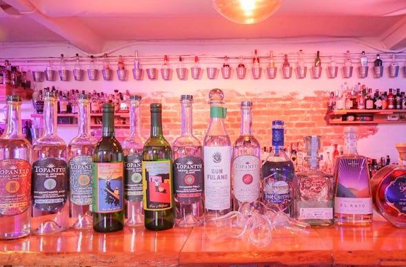 Tequila Tasting Frankfurt am Main