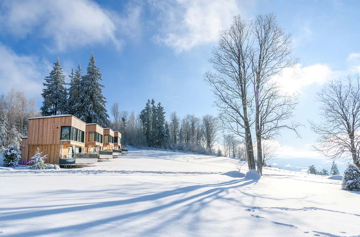 Außergewöhnlich Übernachten im Waldschlafhäusl für 2 (2 Nächte) - 7