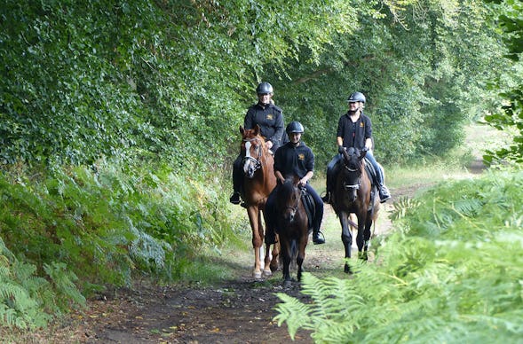 Bodden-Wanderritt Hirschburg