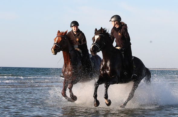Steilküstenritt Hirschburg