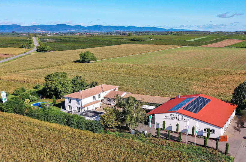 Ein Tag auf dem Weingut mit Übernachtung in der Pfalz für 2