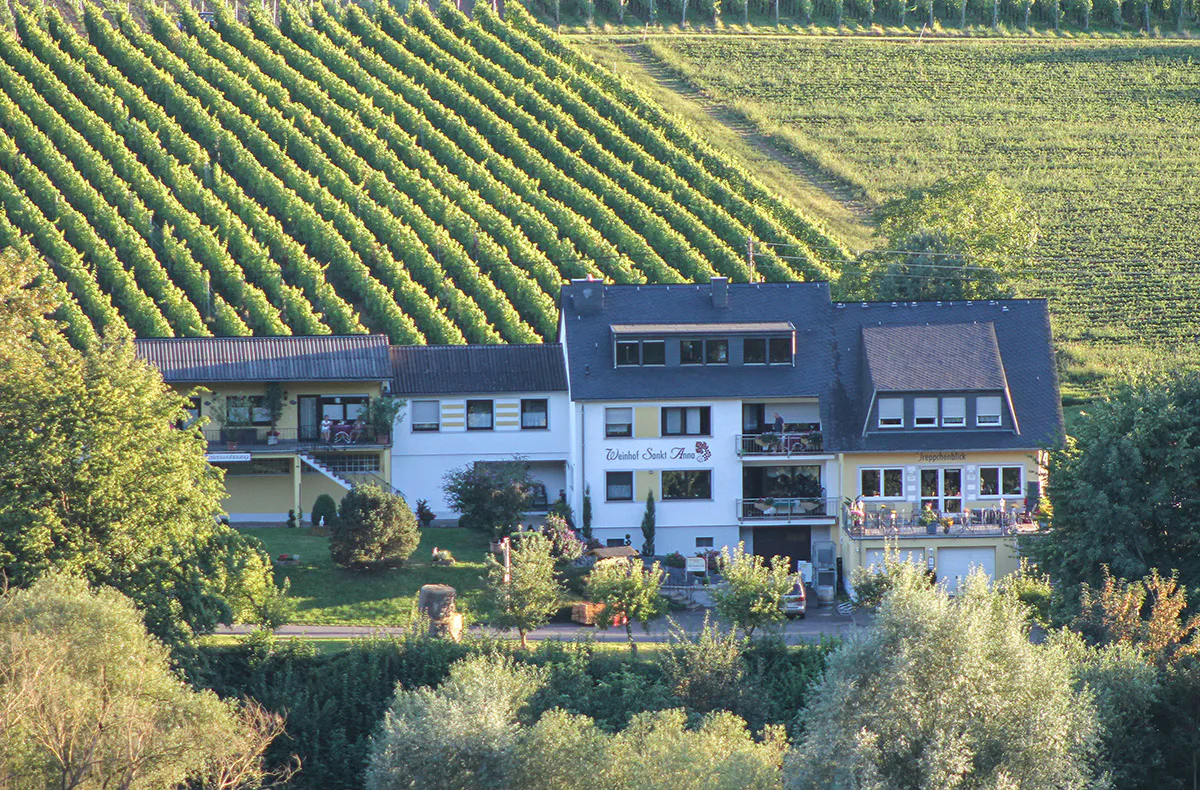 Weinreise an die Mosel für 2 (2 Nächte) - 1