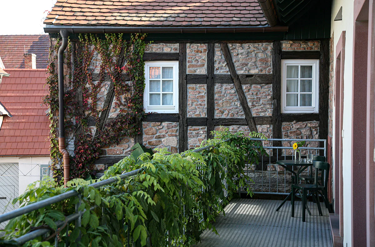 Weinreise Weisenheim am Berg für 2 (2 Nächte) - 5