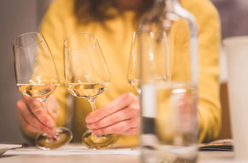 Weinseminar Einsteiger für 2 Olten