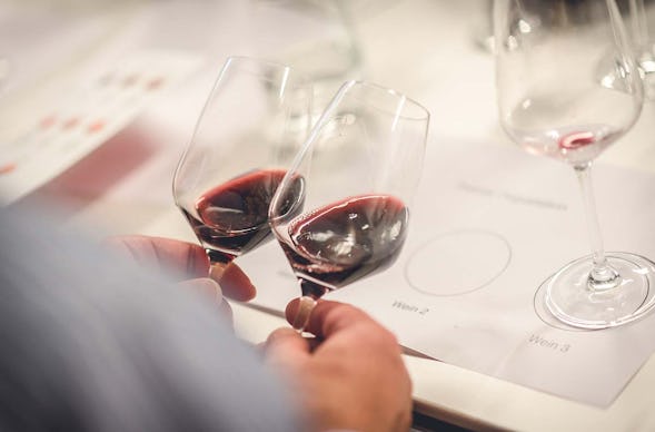 Weinseminar für Einsteiger Olten