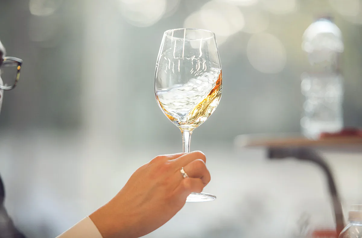 Weinseminar für Genießer Wien - 3