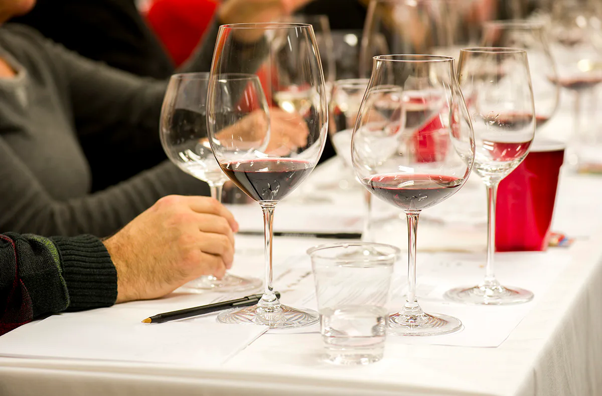 Weinseminar für Kenner Wien - 1