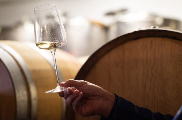 Weinseminar Kitzingen